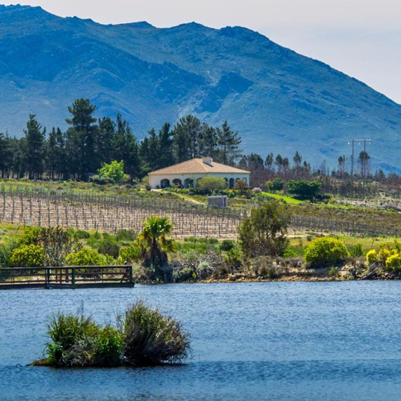 The Barton estate across the dam, with vineyards and mountains beyond